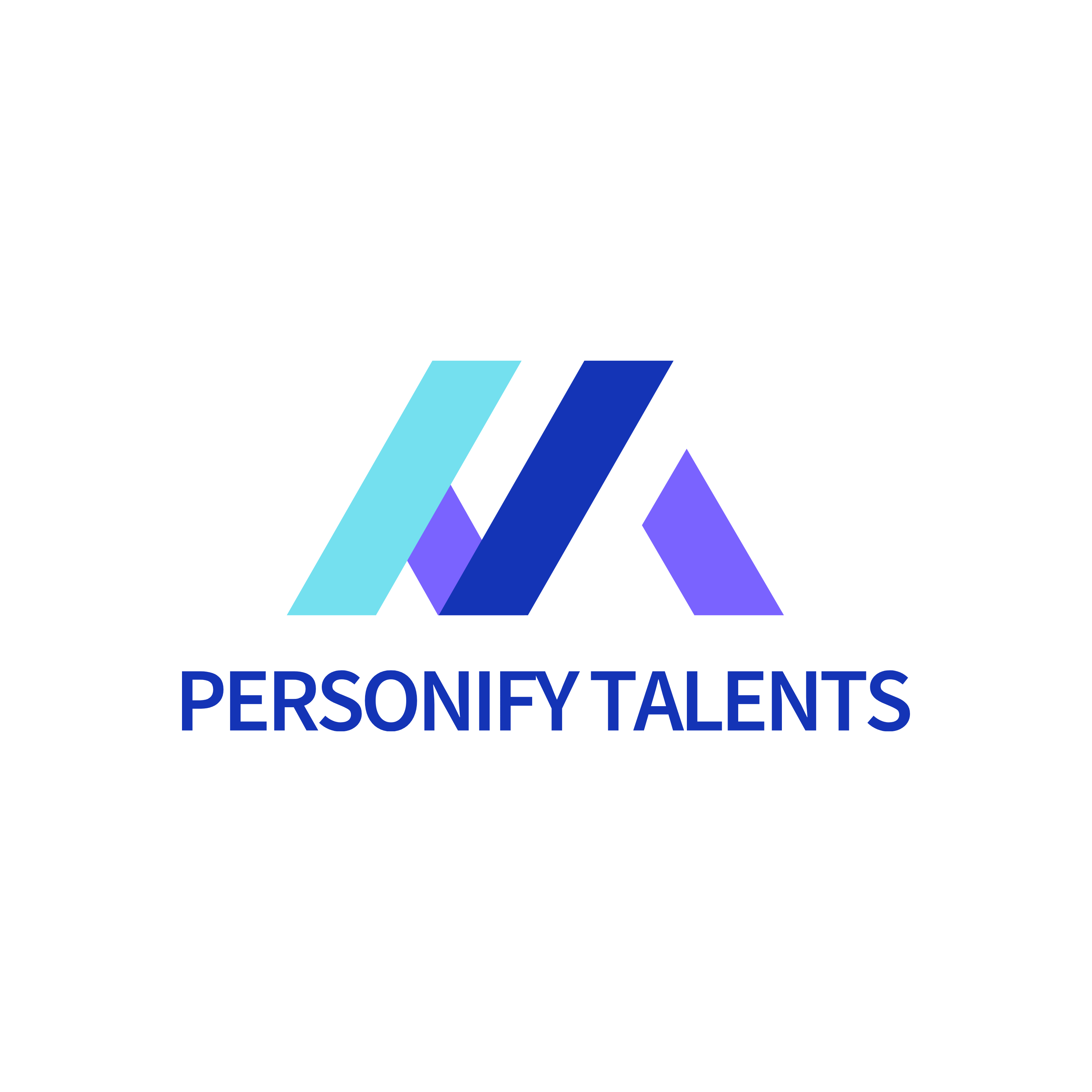 Personify Talents Limited logo — Organisational Culture & Values Alignment Hong Kong